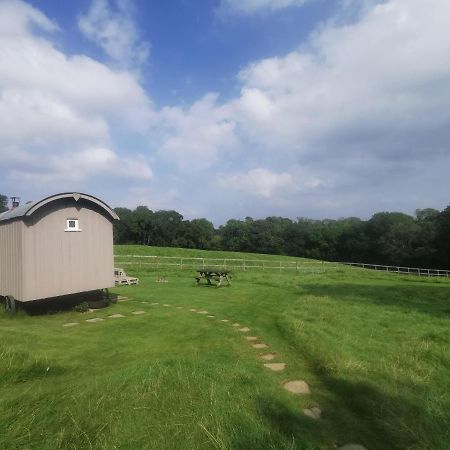 Molly Dishwasher Shepherds Hut Frant Dış mekan fotoğraf