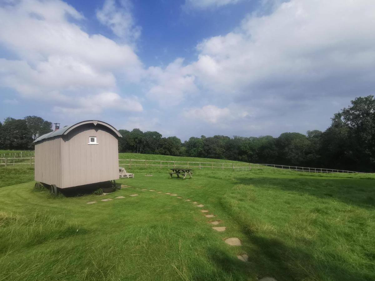 Molly Dishwasher Shepherds Hut Frant Dış mekan fotoğraf