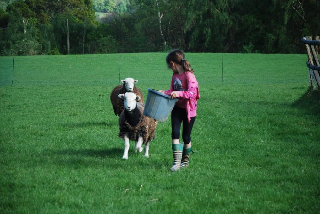 Molly Dishwasher Shepherds Hut Frant Dış mekan fotoğraf
